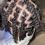 (L) Passion/Marley Twists