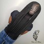 medium senegalese or box braids w/ feedins