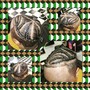 Cornrows/Braid style