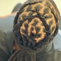 2 Strand Twist (Up to 100 Locs)