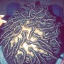 Natural Coils