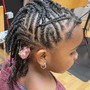 Natural Two Strand Twists/ Plaits/ Starter Locs (Medium)