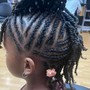 Natural Two Strand Twists/ Plaits/ Starter Locs (Medium)