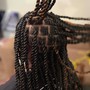 Wig Braid Down ($30 -$40)