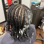 Kid's Braids ( no new clients)