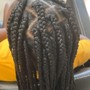 Starter Locs/comb twist