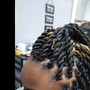 Large Kinky/Marley Twist