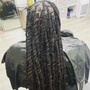 Havana Twists