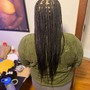 Kid's Braids (hair extensions)