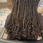 Medium Senegalese Twists  ($180-$220)