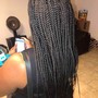 Box Braids