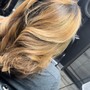 Partial Highlights