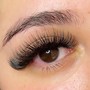 Beginner 1:1 Lash Course