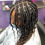 CROCHET BRAIDS OR TWISTS