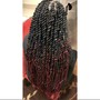 Extra Large Havana Twists