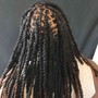 Starter dreads