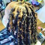 Comb twist Starter Locs Full Head