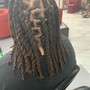 Kids Starter Dreadlocs