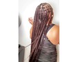 Knotless Braids -ANY SIZE