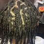 Kid Box Braids