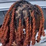 Starter Locs