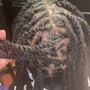 Loc Retwist