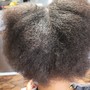 Root Touch Up