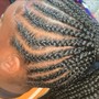 Feed in Braid ponytail (no Stitch braids)