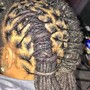 Starter locs