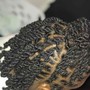 Starter Locs plus Loc Style