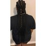 Extra Large Havana Twists