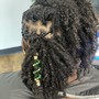 Root Touch Up