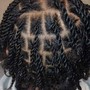 Natural Twists