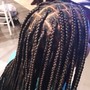 Individual Braids