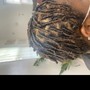 Kinky Marley Twist