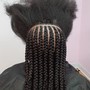 Sm. Tribal/Feedin Braids