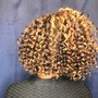 Natural Hair Fee (Length, Coarseness, and Texture)