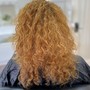 Root Touch Up ( with existing hair Extensions)