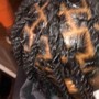 Starter Locs