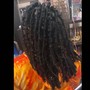 Loc retwist