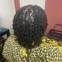 Two Strand Twist