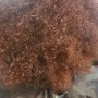 Natural Perm Rods