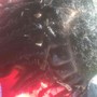 Natural two strand Twists