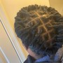 Starter Locs (Coils)