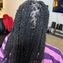 Starter Locs  (Two-Strand Twist)