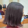 Women's Haircut(Modified styles)