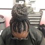 Plait Braids (No Extension)