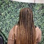 Tree Braids