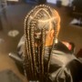 Individual Senegalese Twists Small