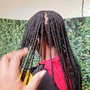 Individual Braids( jumbo braids waist length